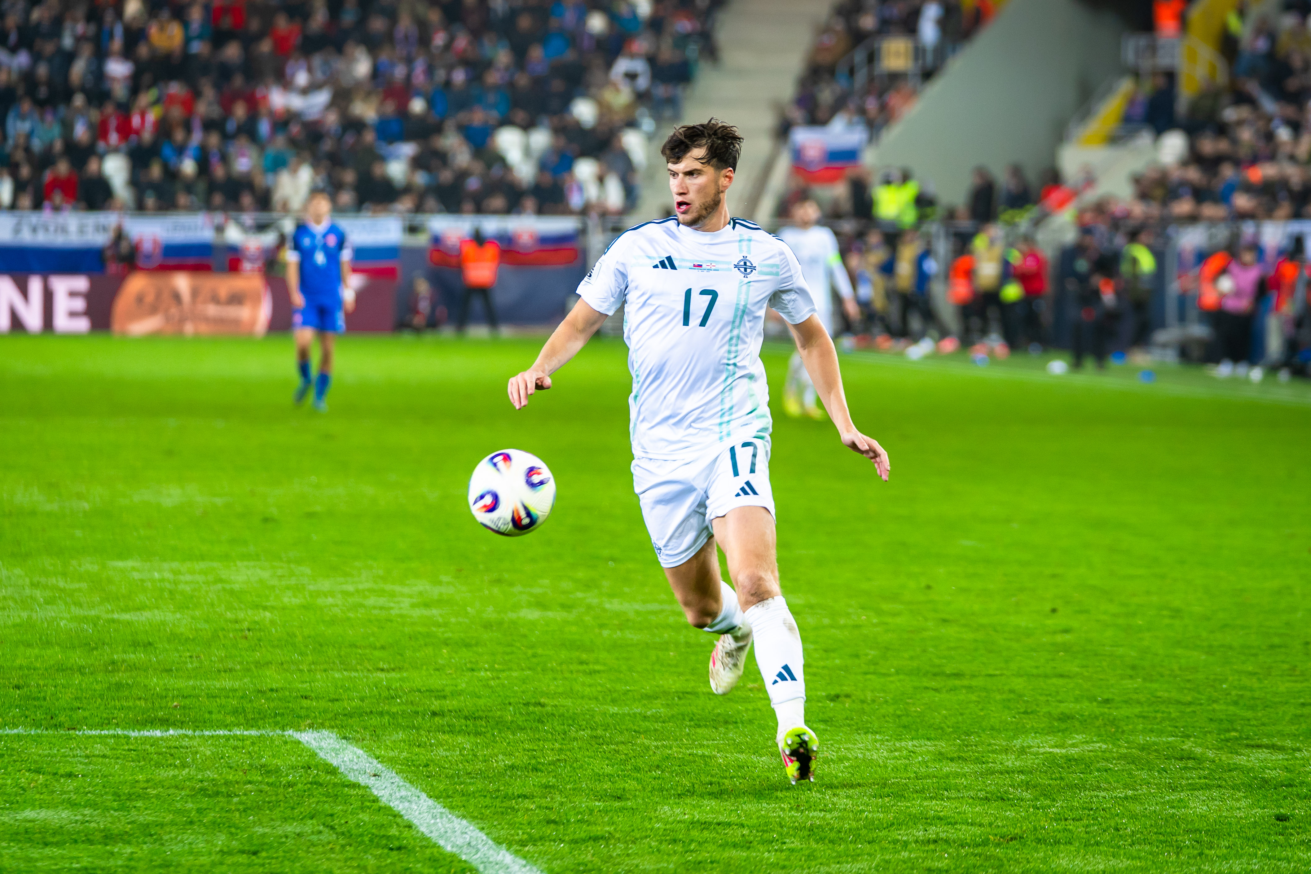 Slovensko vs Severne Irsko-44